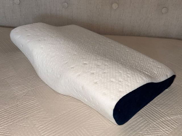 19.5x11.5 New Edge Pillow